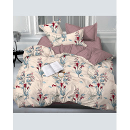 КПБ СЕМЕЙНЫЙ  сатин цветной 120 г/м2 (2 нав. 70х70) (ЧЗ)